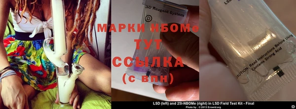 сатива Аркадак