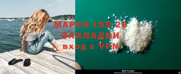 сатива Аркадак