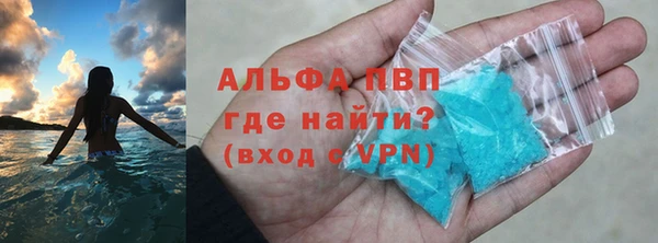 сатива Аркадак