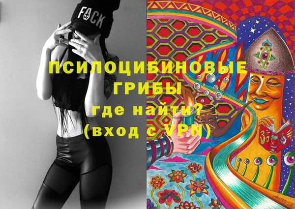 сатива Аркадак