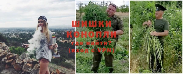 молекула духа Ростов