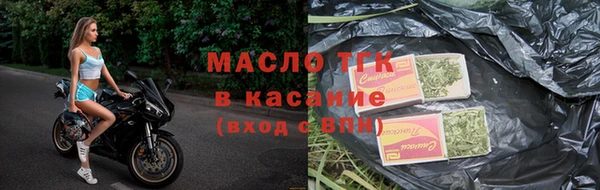 сатива Аркадак