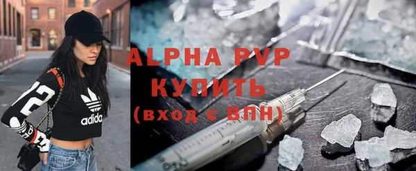 сатива Аркадак