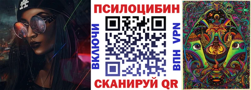 закладка Галич Галлюциногенные грибы Cubensis